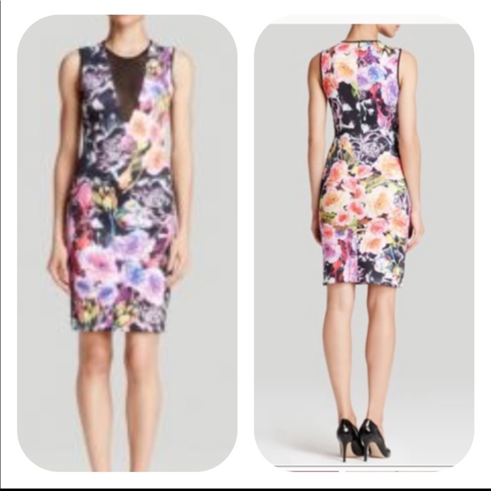 Clover Canyon Floral Mesh Panel Sleeveless Dress